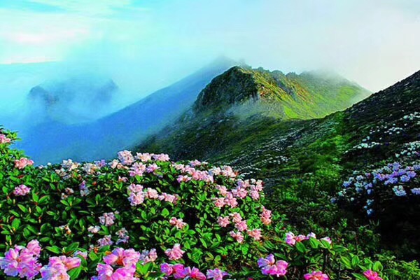 會(huì)議公司會(huì)議旅游景點(diǎn)