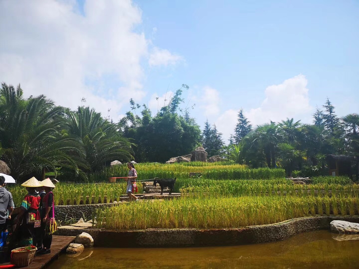 會(huì)議公司會(huì)議旅游景點(diǎn)