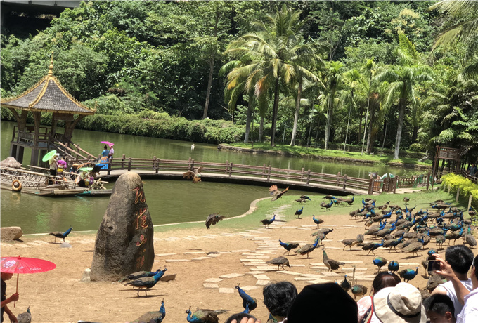 青島會議場地分類—青島會議旅游景色
